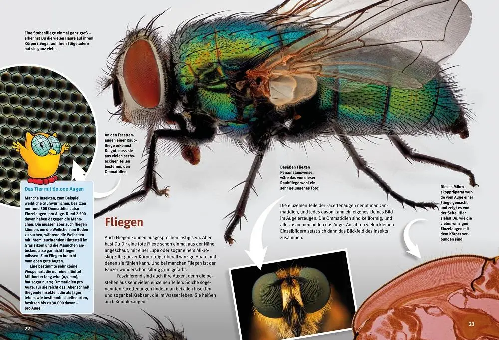 Bild: 9783866595248 | Entdecke die Welt im Kleinen | Daniel Knop | Buch | 64 S. | Deutsch