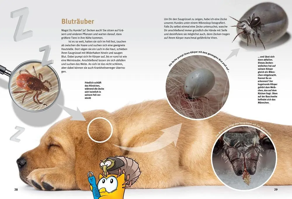 Bild: 9783866595248 | Entdecke die Welt im Kleinen | Daniel Knop | Buch | 64 S. | Deutsch
