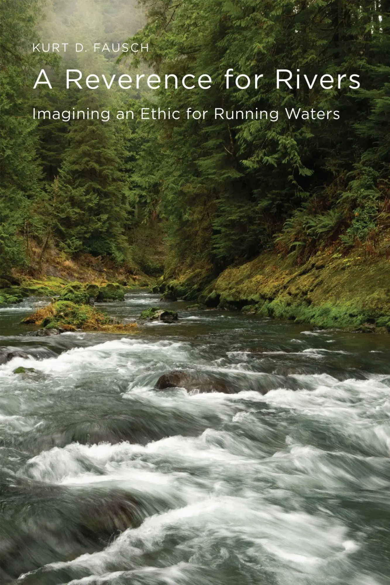 Cover: 9781962645348 | A Reverence for Rivers | Imagining an Ethic for Running Waters | Buch