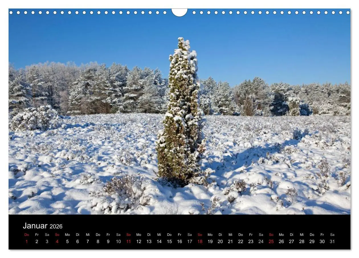 Bild: 9783516185348 | Hansestadt Lüneburg und Lüneburger Heide (Wandkalender 2026 DIN A3...