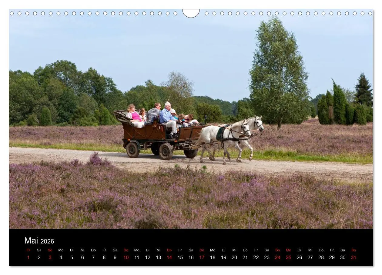 Bild: 9783516185348 | Hansestadt Lüneburg und Lüneburger Heide (Wandkalender 2026 DIN A3...
