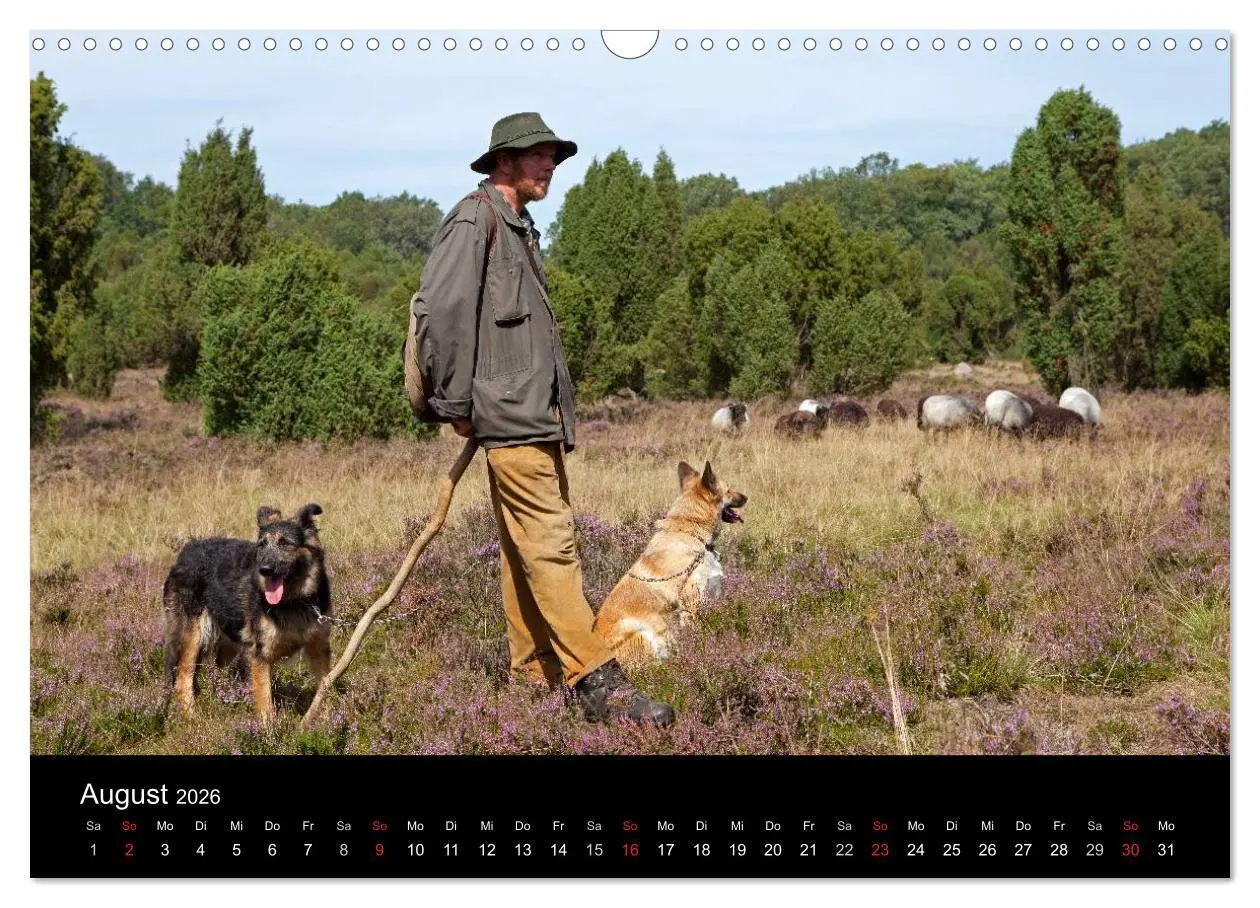 Bild: 9783516185348 | Hansestadt Lüneburg und Lüneburger Heide (Wandkalender 2026 DIN A3...