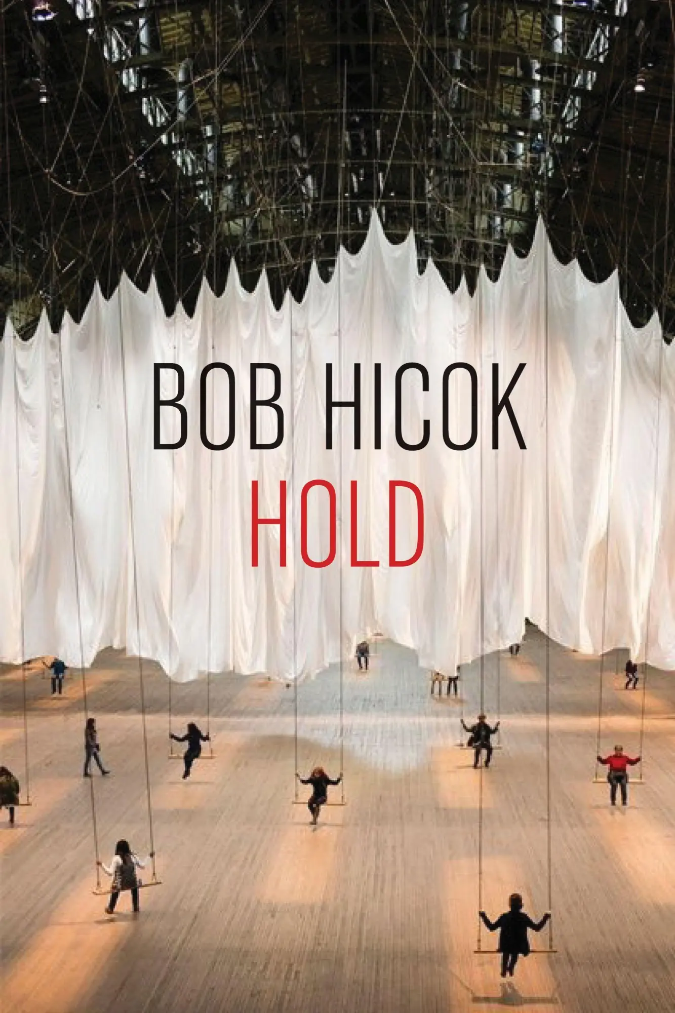 Cover: 9781556595448 | Hold | Bob Hicok | Taschenbuch | Kartoniert / Broschiert | Englisch
