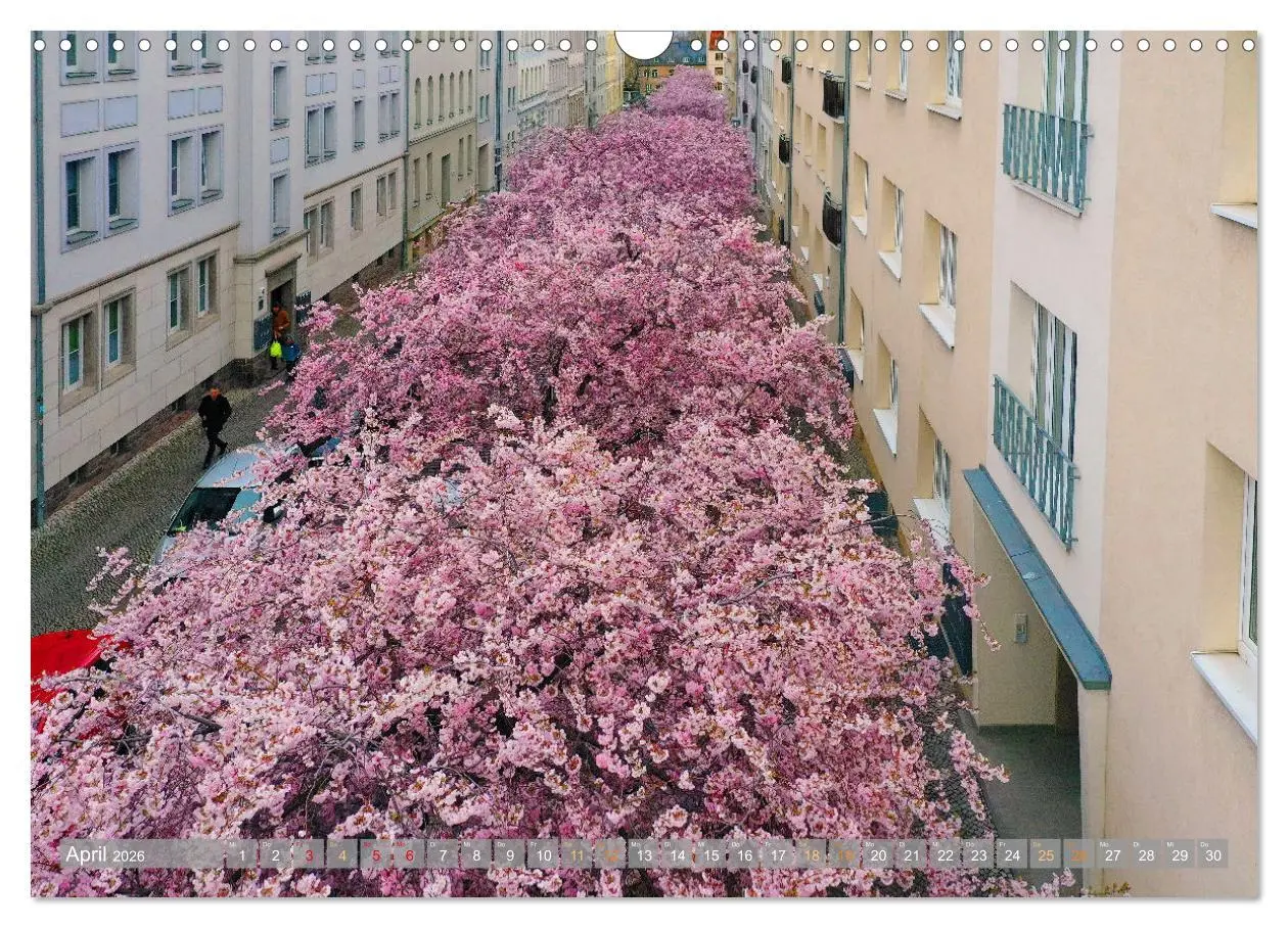 Bild: 9783457525548 | HALLE SAALE GEDROHNT 2026 (Wandkalender 2026 DIN A3 quer), CALVENDO...