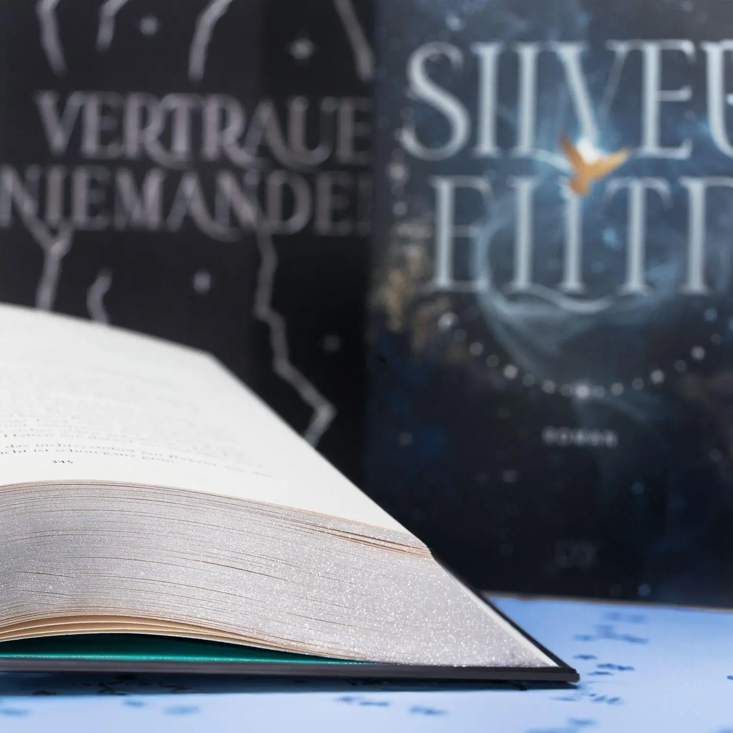 Bild: 9783736325548 | Silver Elite | Dani Francis | Buch | 672 S. | Deutsch | 2025 | LYX