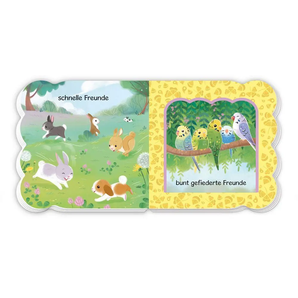 Bild: 9783988025548 | TRÖTSCH - Klappenbuch Meine ersten Tierfreunde Ab 1 Jahr | KG | Buch