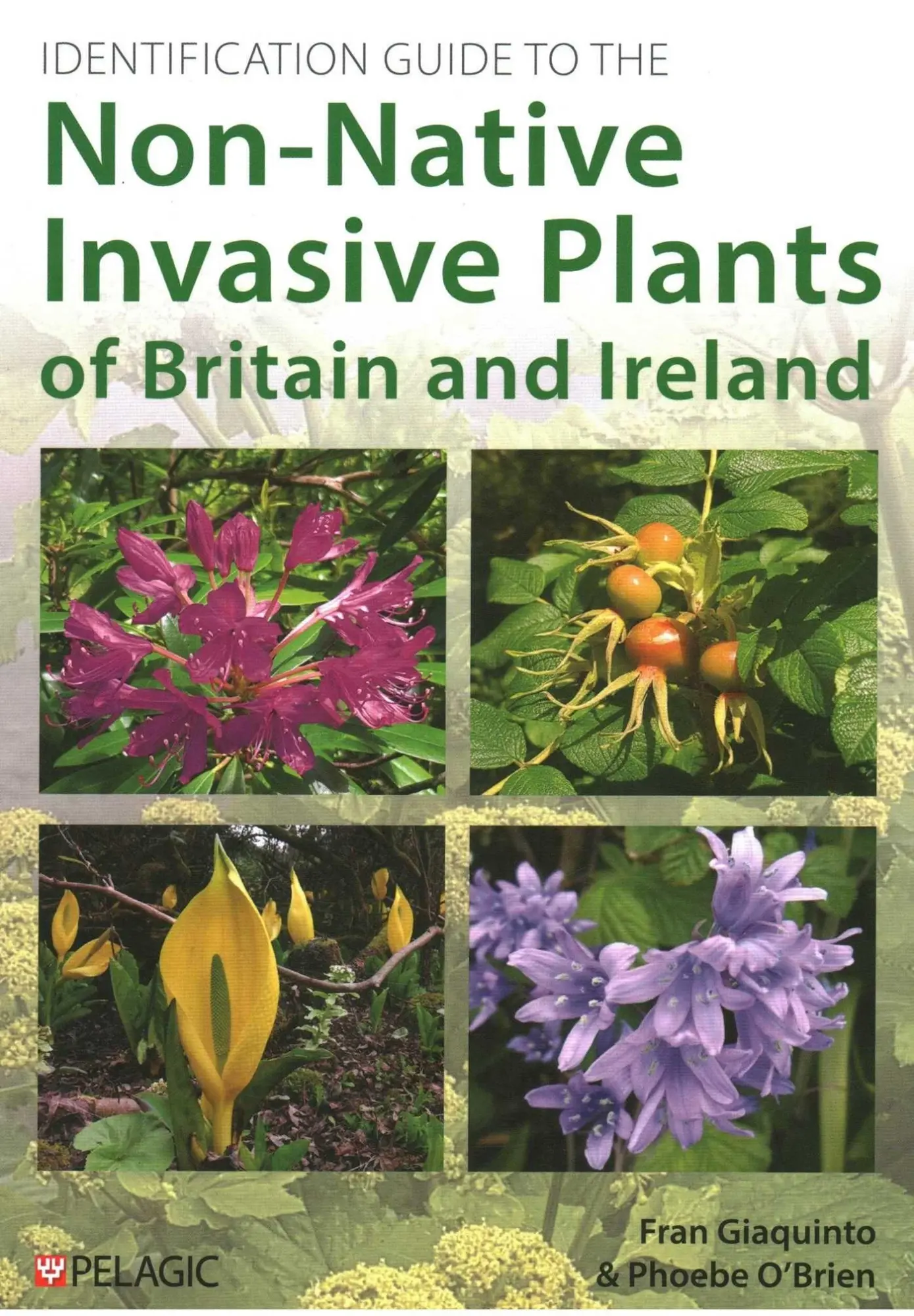 Cover: 9781784275648 | Identification Guide to the Non-Native Invasive Plants of Britain...