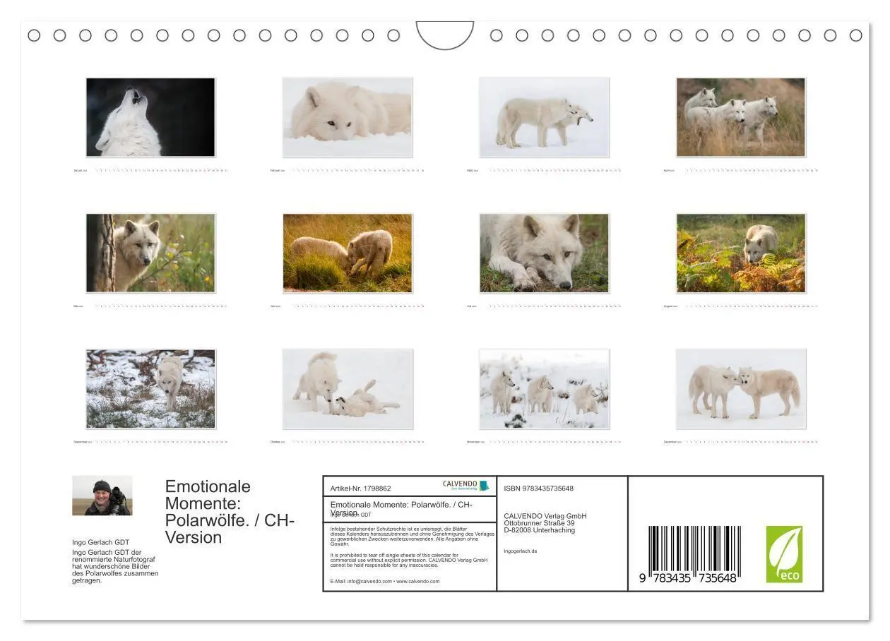Bild: 9783435735648 | Emotionale Momente: Polarwölfe. / CH-Version (Wandkalender 2025 DIN...