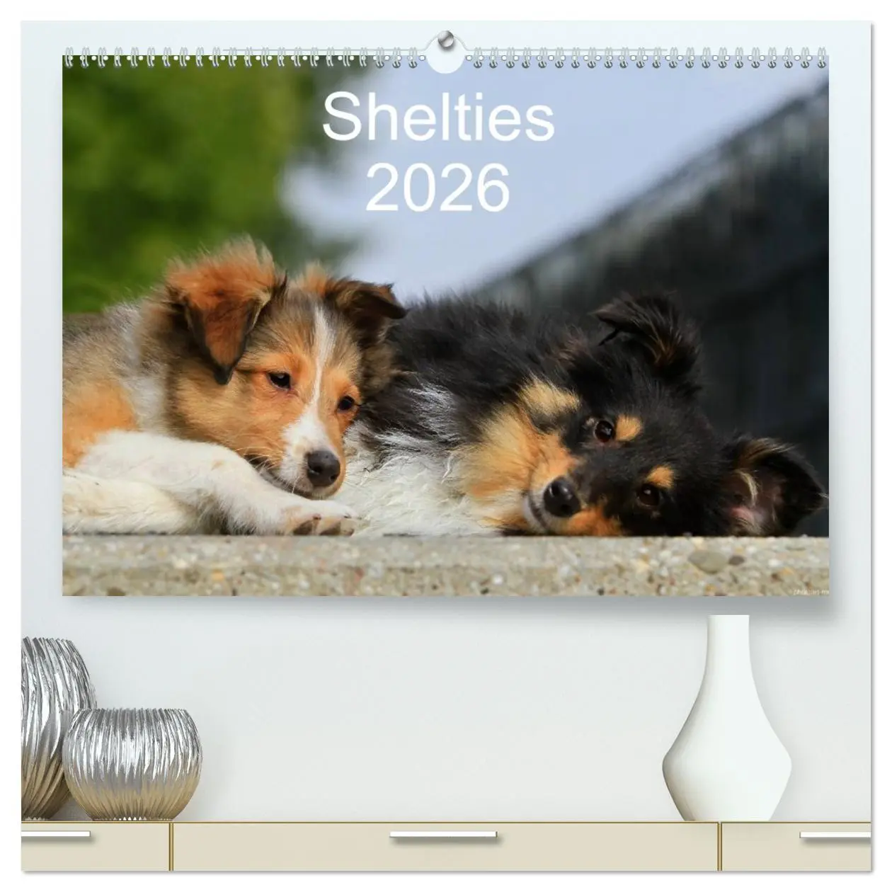 Cover: 9783516155648 | Shelties 2026 (hochwertiger Premium Wandkalender 2026 DIN A2 quer),...