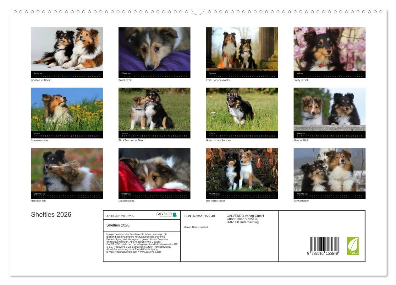 Bild: 9783516155648 | Shelties 2026 (hochwertiger Premium Wandkalender 2026 DIN A2 quer),...