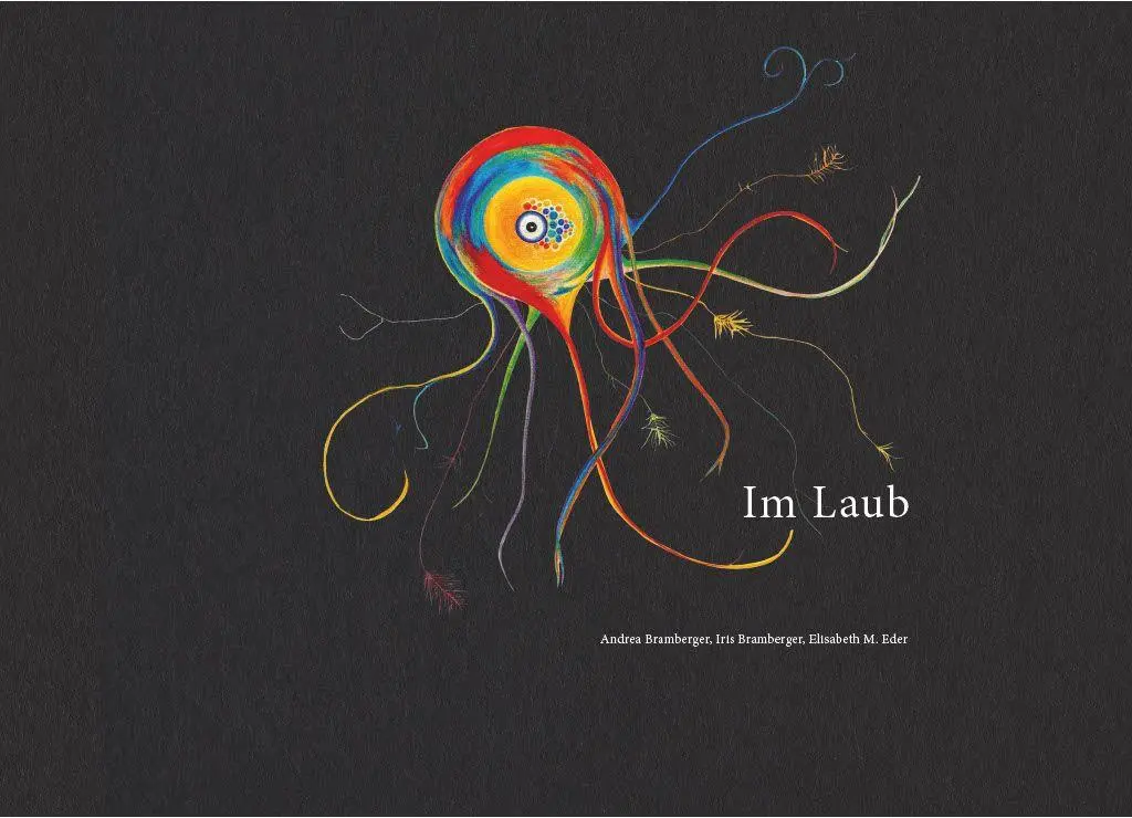 Cover: 9783701105748 | Das Kartenset Im Laub | Andrea Bramberger (u. a.) | Box | 12 S. | 2025