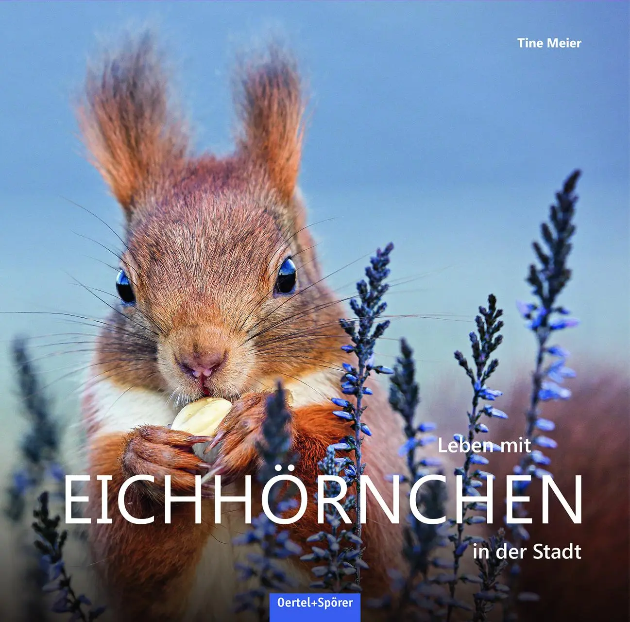 Cover: 9783886275748 | Leben mit Eichhörnchen in der Stadt | Tine Meier | Buch | 120 S.