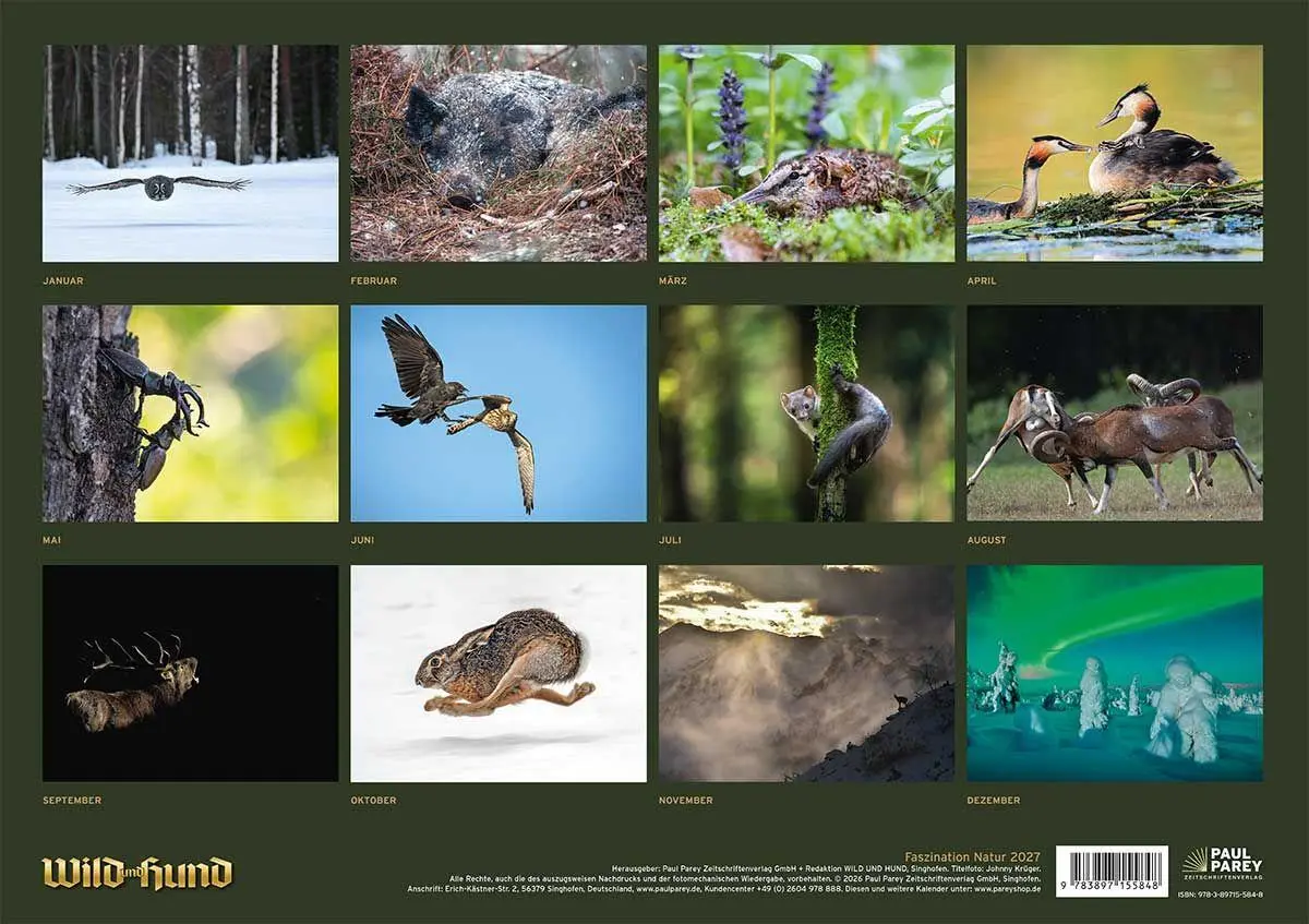 Bild: 9783897155848 | Wild und Hund Edition: Faszination Natur Kalender 2027 | HUND | 13 S.