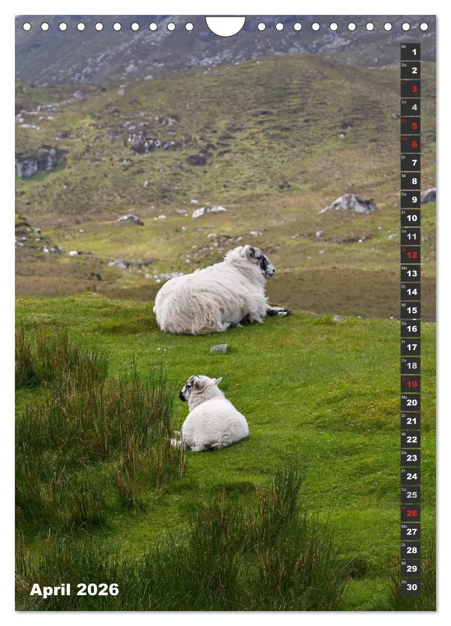 Bild: 9783516435948 | Schottlands vielfältiger Westen (Wandkalender 2026 DIN A4 hoch),...
