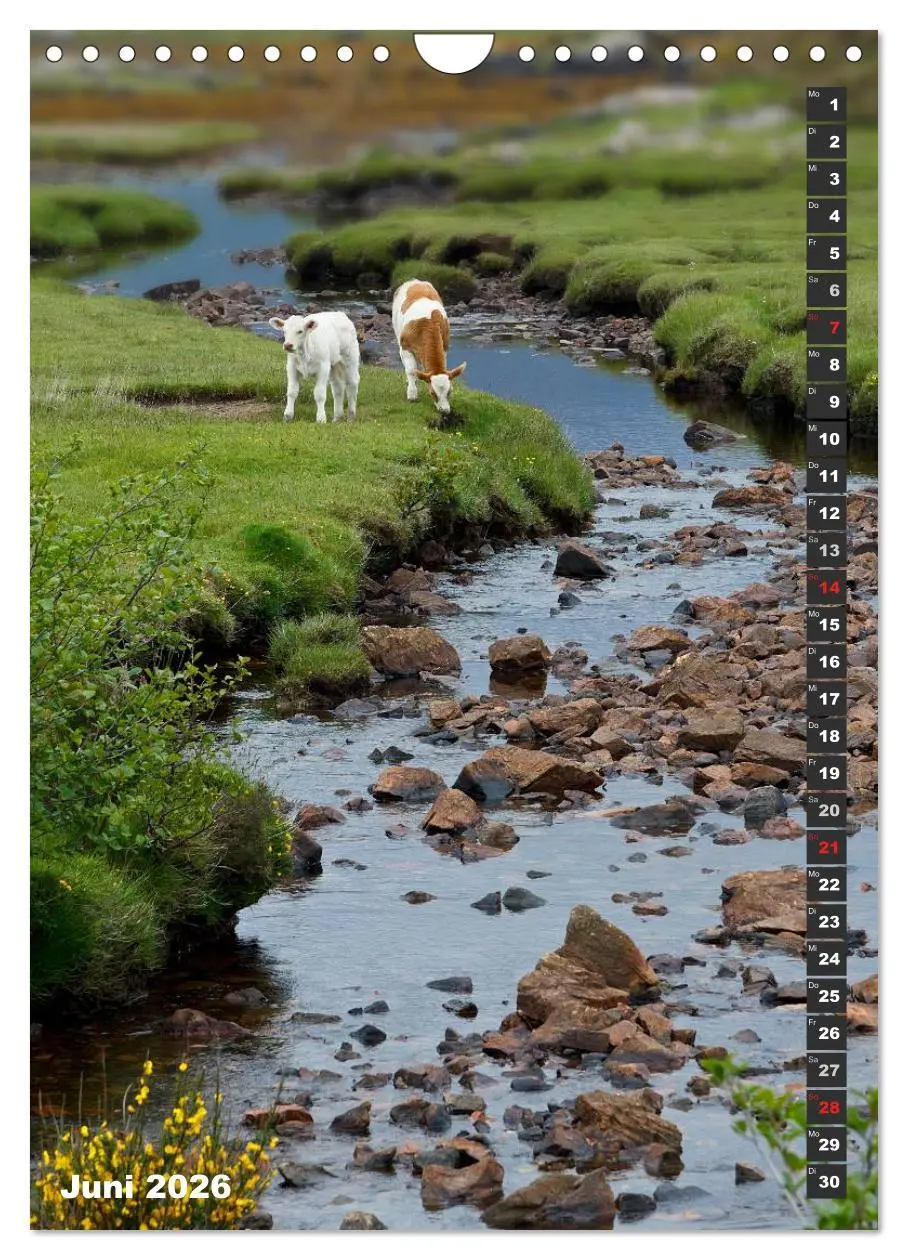 Bild: 9783516435948 | Schottlands vielfältiger Westen (Wandkalender 2026 DIN A4 hoch),...