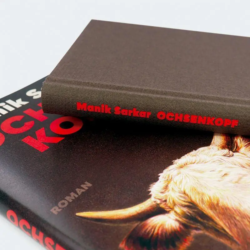 Bild: 9783552075948 | Ochsenkopf | Manik Sarkar | Buch | 176 S. | Deutsch | 2026