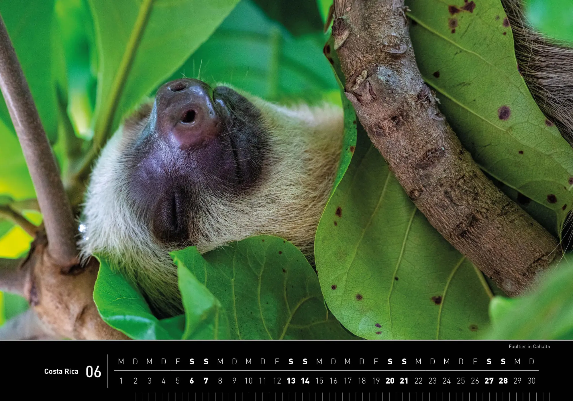 Bild: 9783968556048 | Costa Rica Premiumkalender 2026 | Stefan Tschumi | Kalender | 14 S.