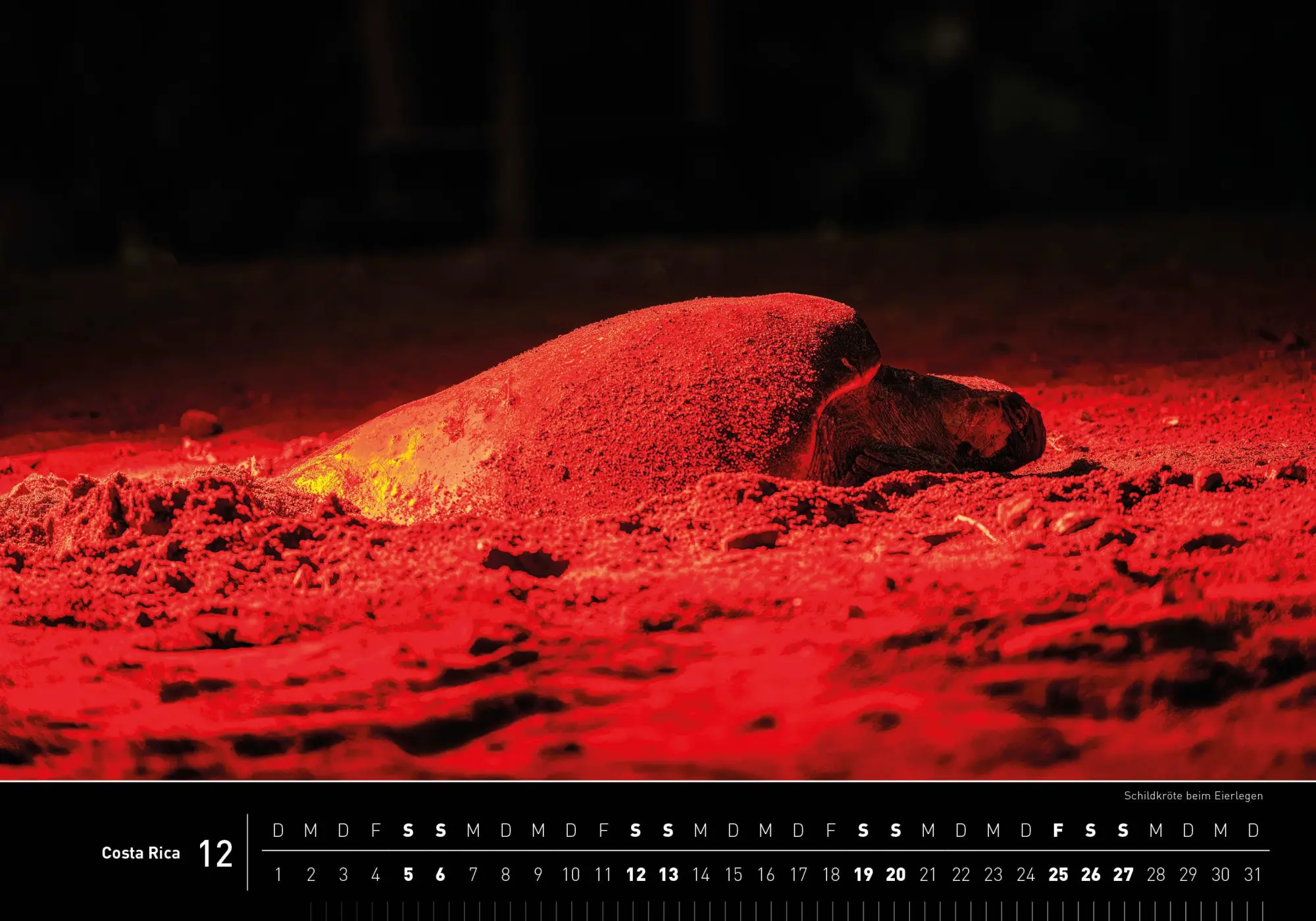 Bild: 9783968556048 | Costa Rica Premiumkalender 2026 | Stefan Tschumi | Kalender | 14 S.