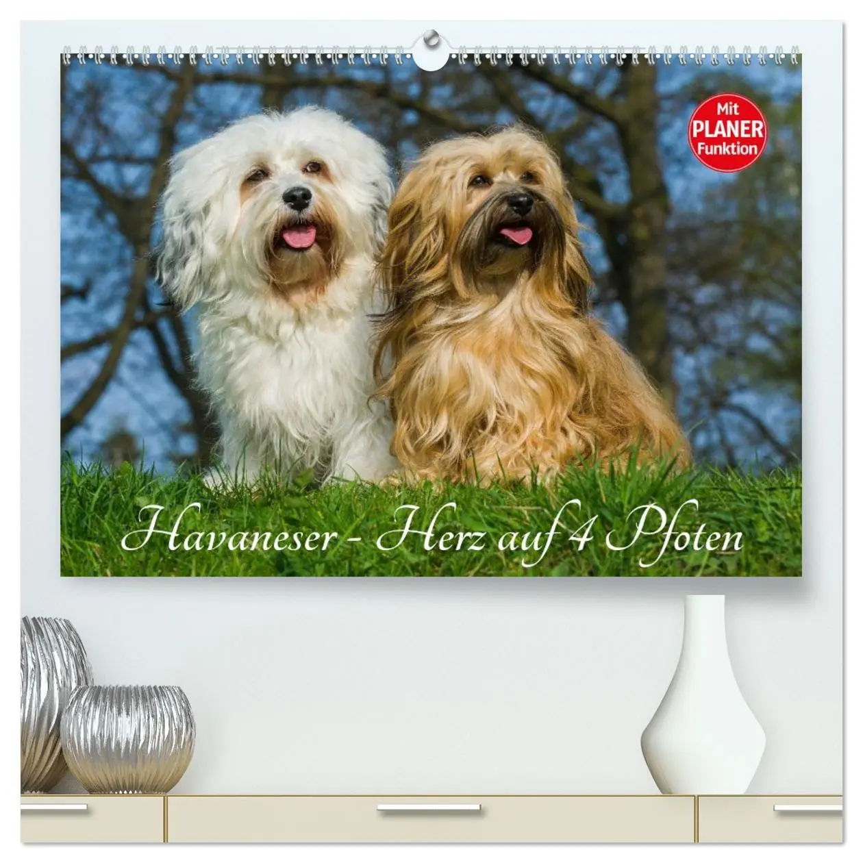 Cover: 9783516006148 | Havaneser - Herz auf 4 Pfoten (hochwertiger Premium Wandkalender...