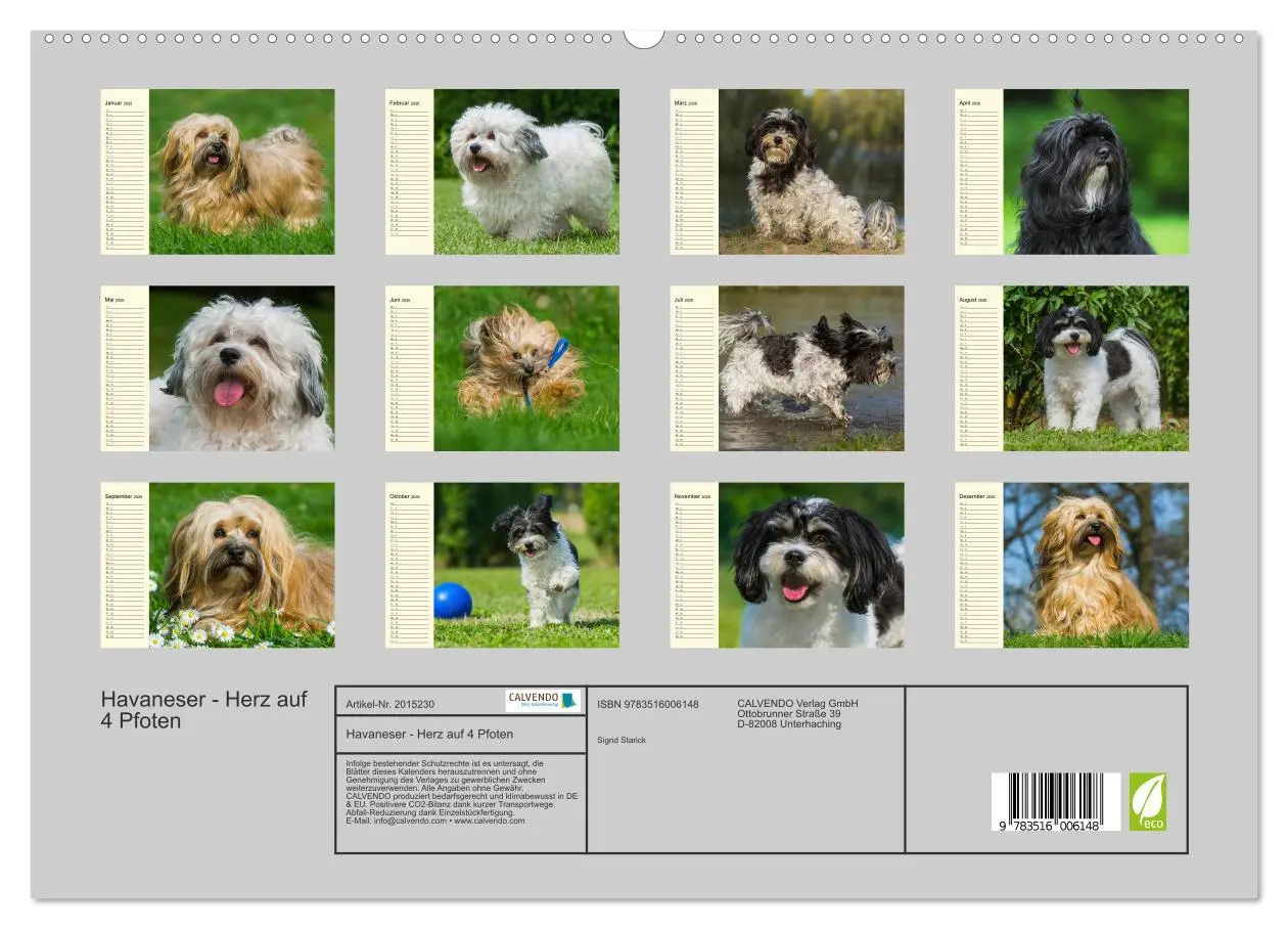 Bild: 9783516006148 | Havaneser - Herz auf 4 Pfoten (hochwertiger Premium Wandkalender...