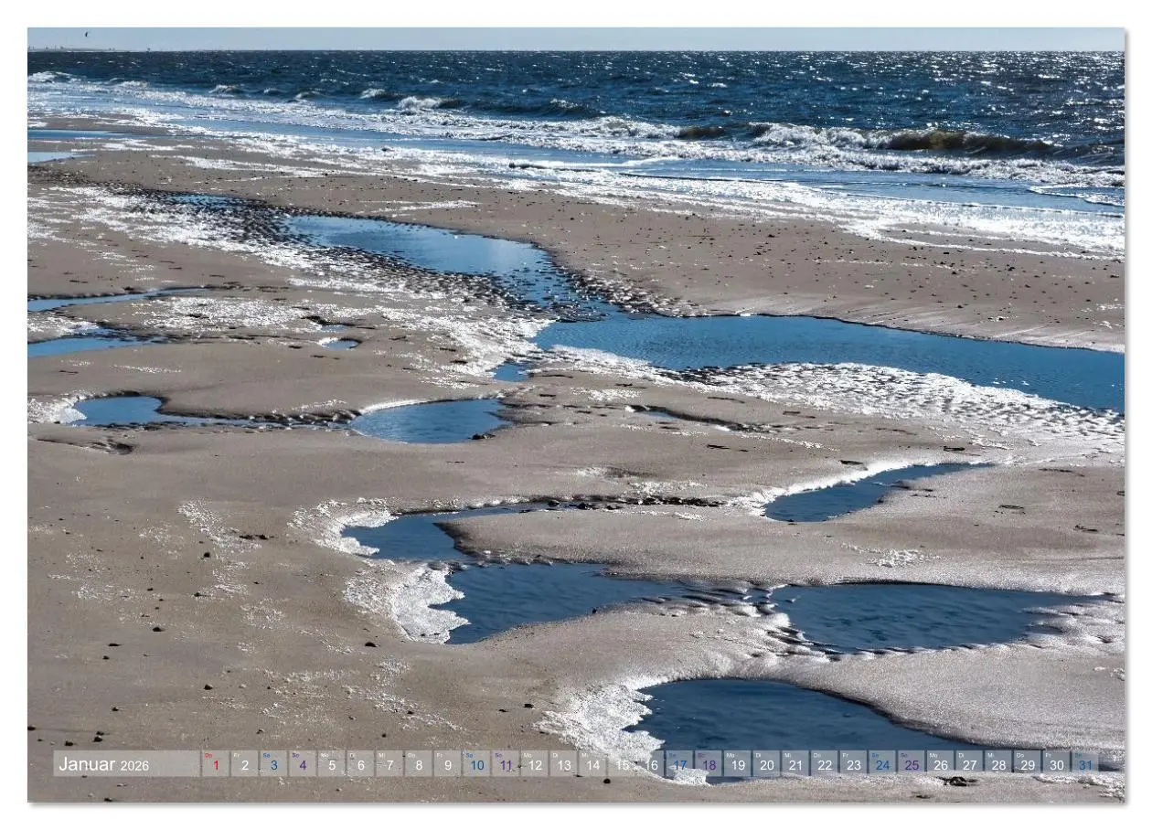 Bild: 9783516626148 | Amrum Glücksort (Wandkalender 2026 DIN A3 quer), CALVENDO...