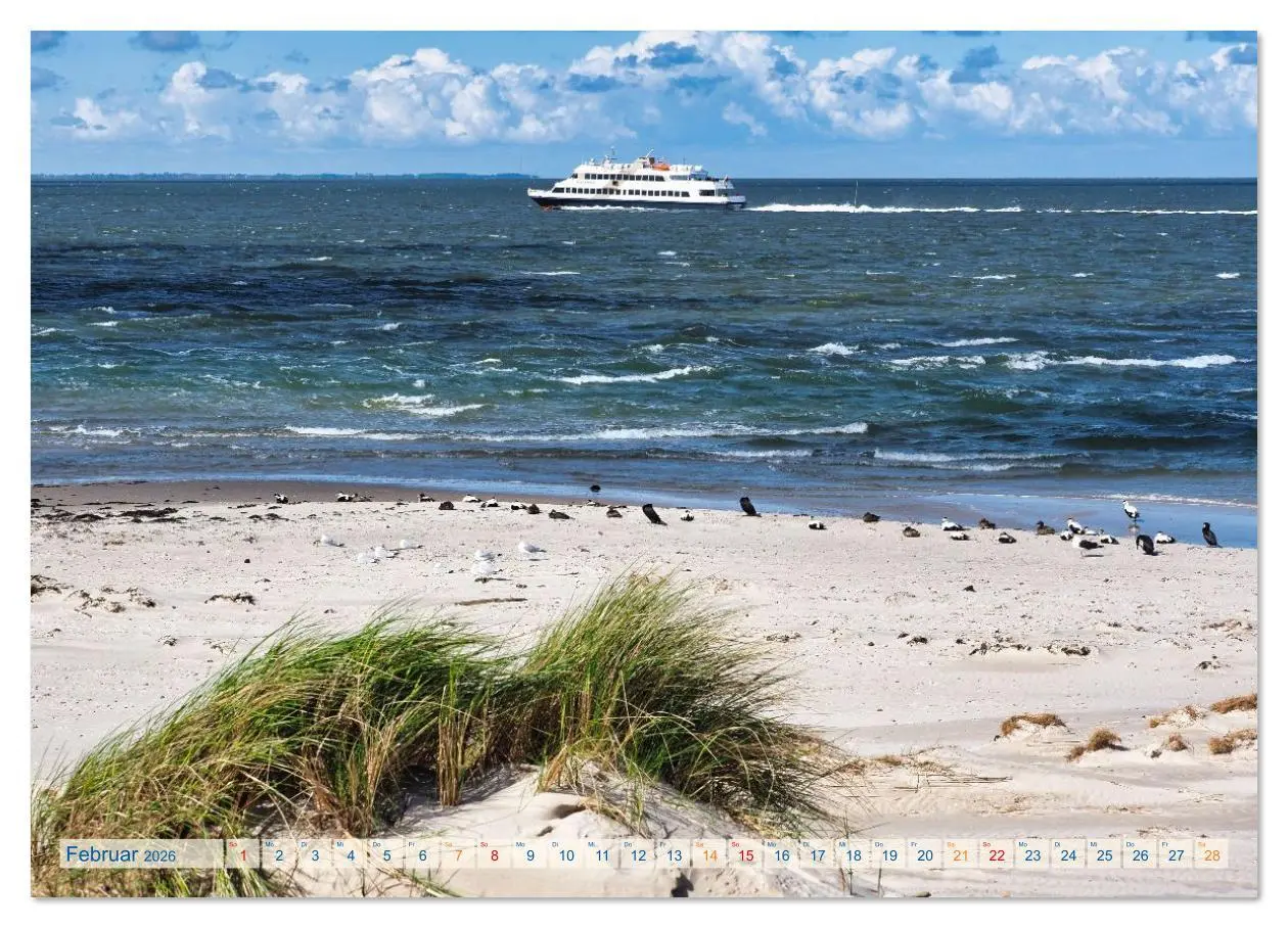 Bild: 9783516626148 | Amrum Glücksort (Wandkalender 2026 DIN A3 quer), CALVENDO...