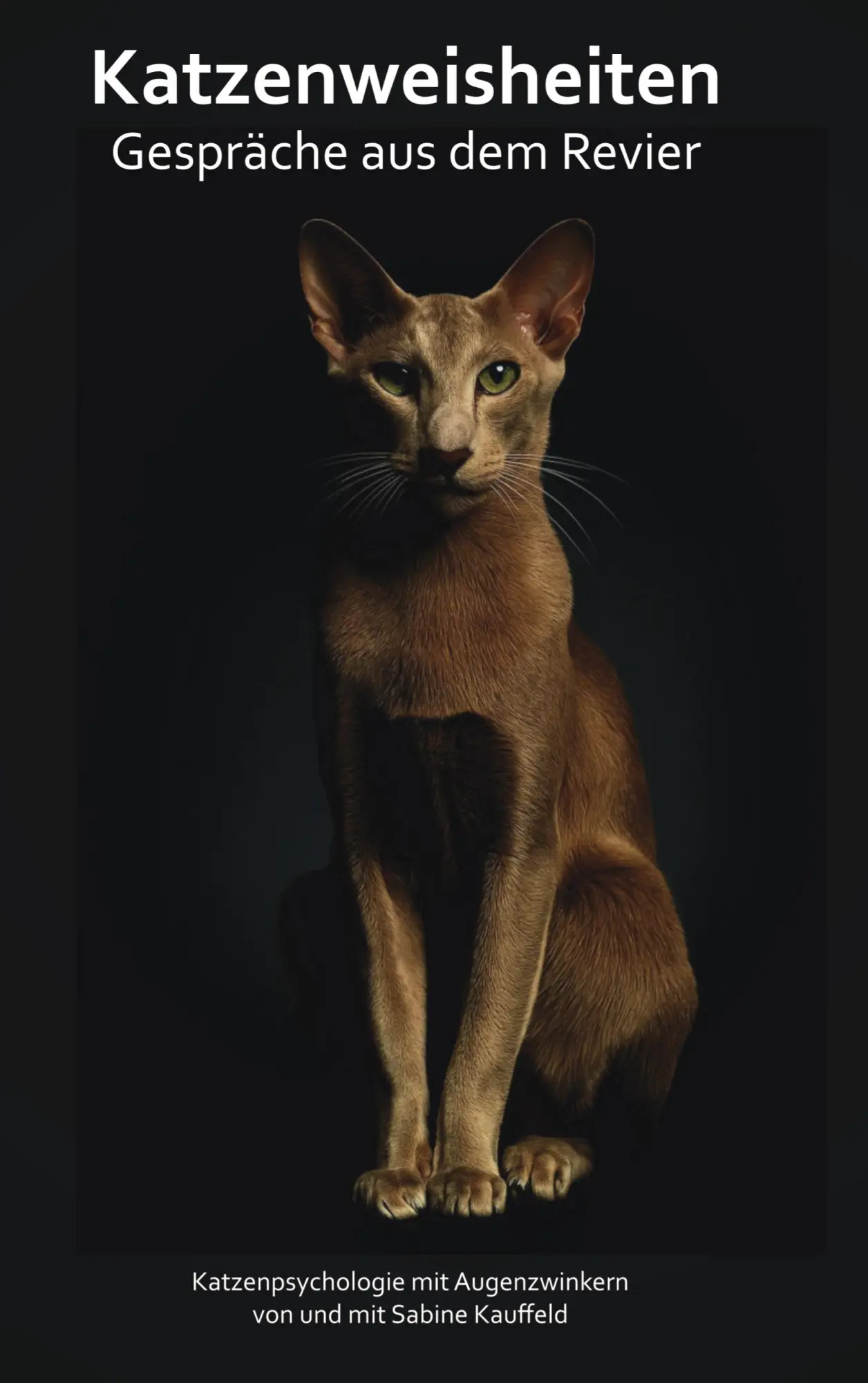 Cover: 9783695136148 | Katzenweisheiten - Gespräche aus dem Revier | Sabine Kauffeld | Buch
