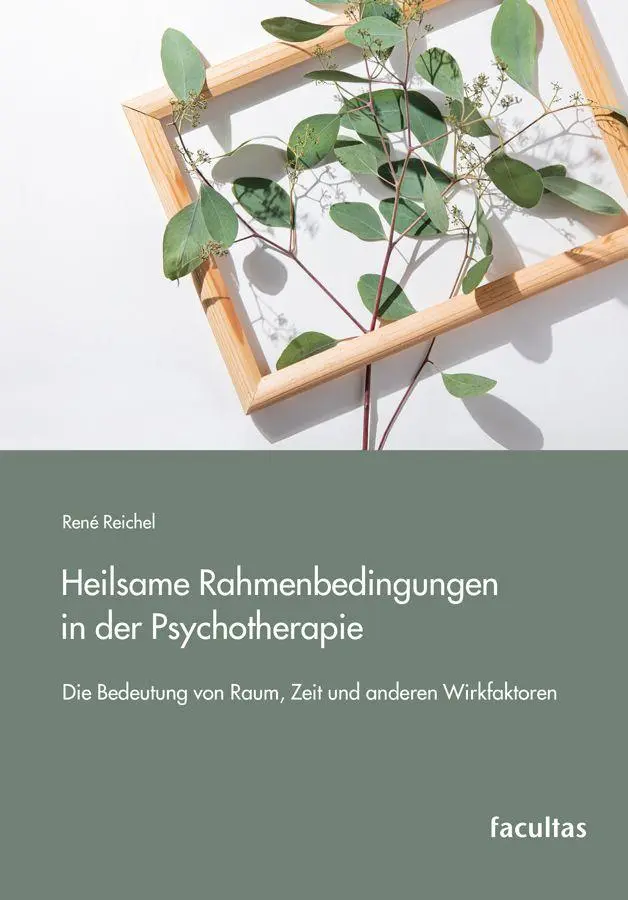 Cover: 9783708926148 | Heilsame Rahmenbedingungen in der Psychotherapie | René Reichel | Buch
