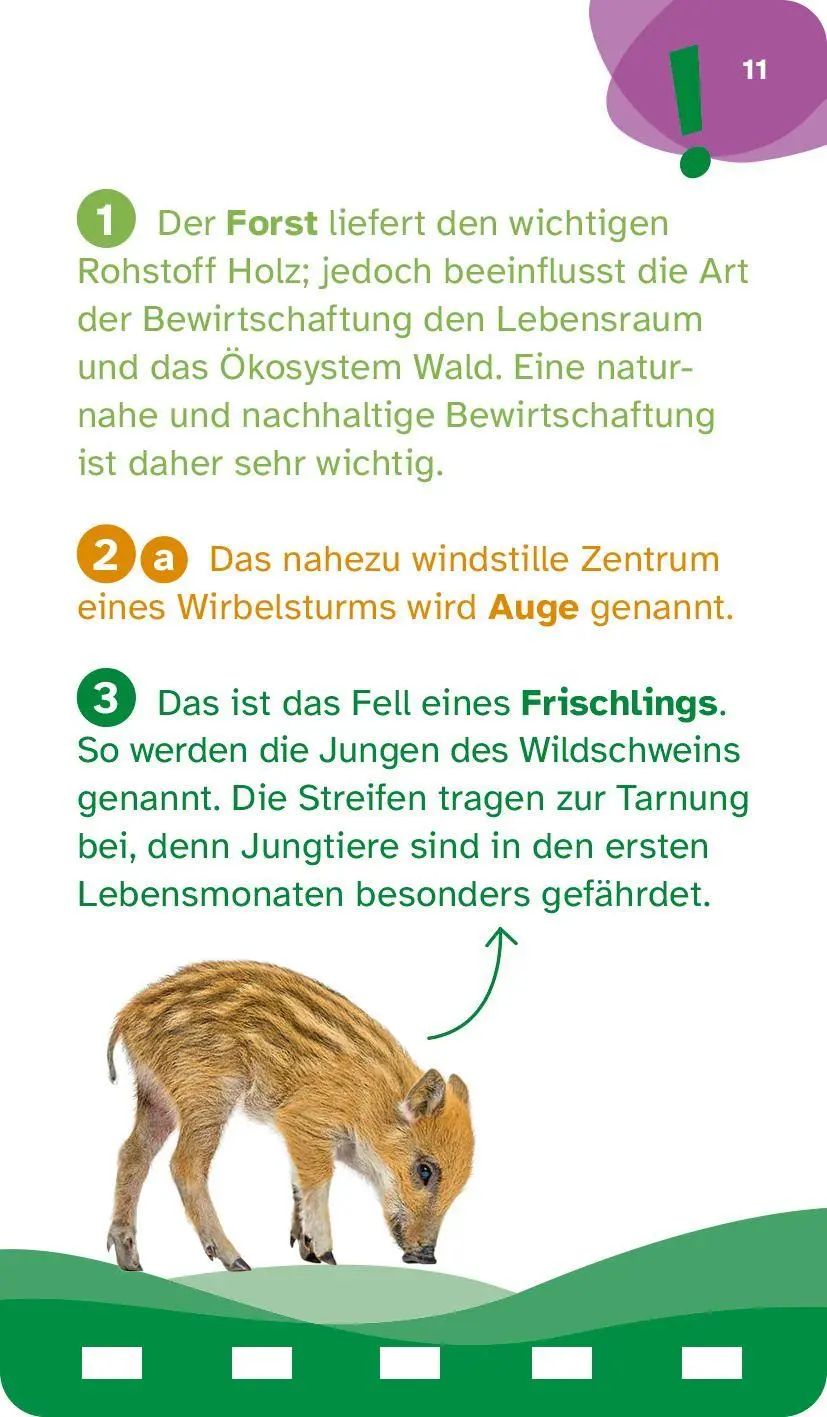 Bild: 9783788676148 | WAS IST WAS Quiz Natur | Tessloff Verlag Ragnar Tessloff GmbH &amp; Co. KG