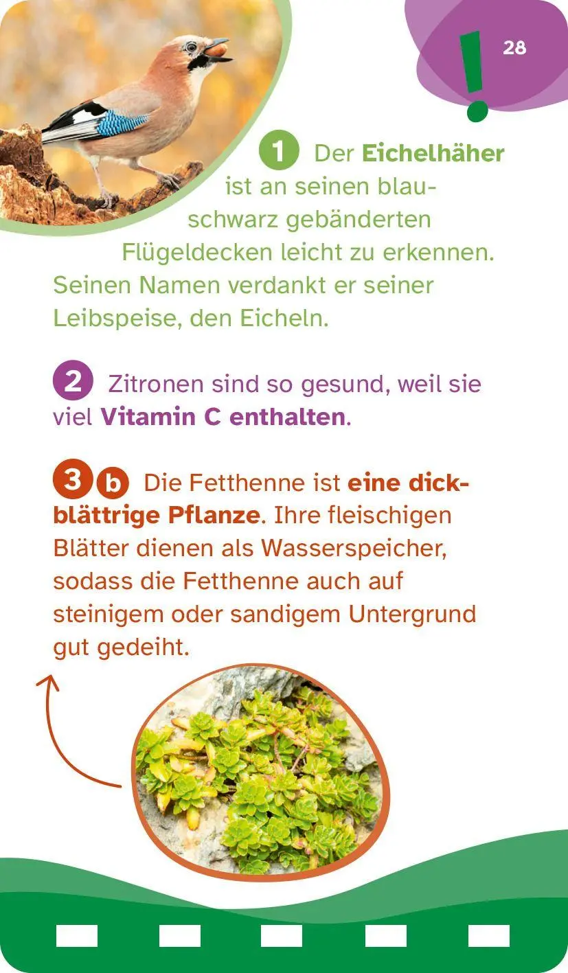 Bild: 9783788676148 | WAS IST WAS Quiz Natur | Tessloff Verlag Ragnar Tessloff GmbH &amp; Co. KG