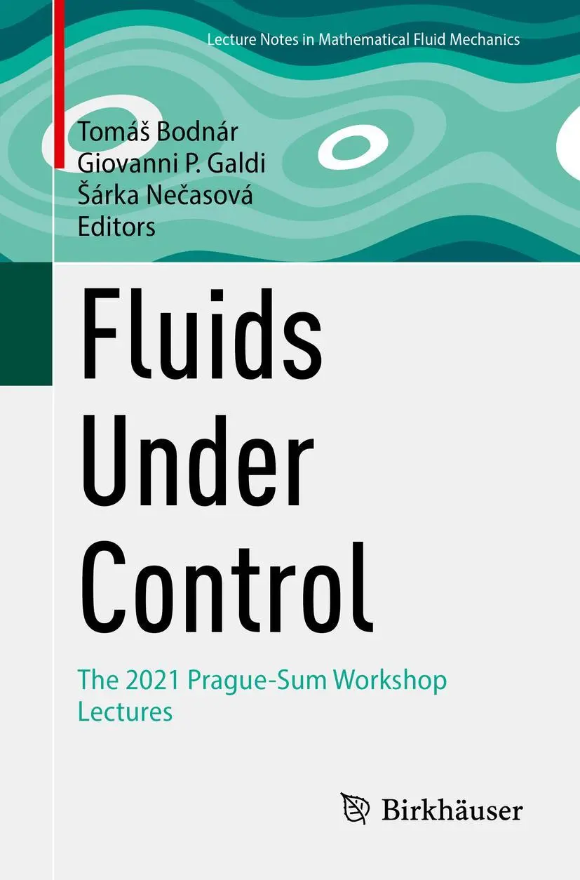 Fluids Under Control: The 2021 Prague-Sum Workshop Lectures (Advances in Mathematical Fluid Mechanics)