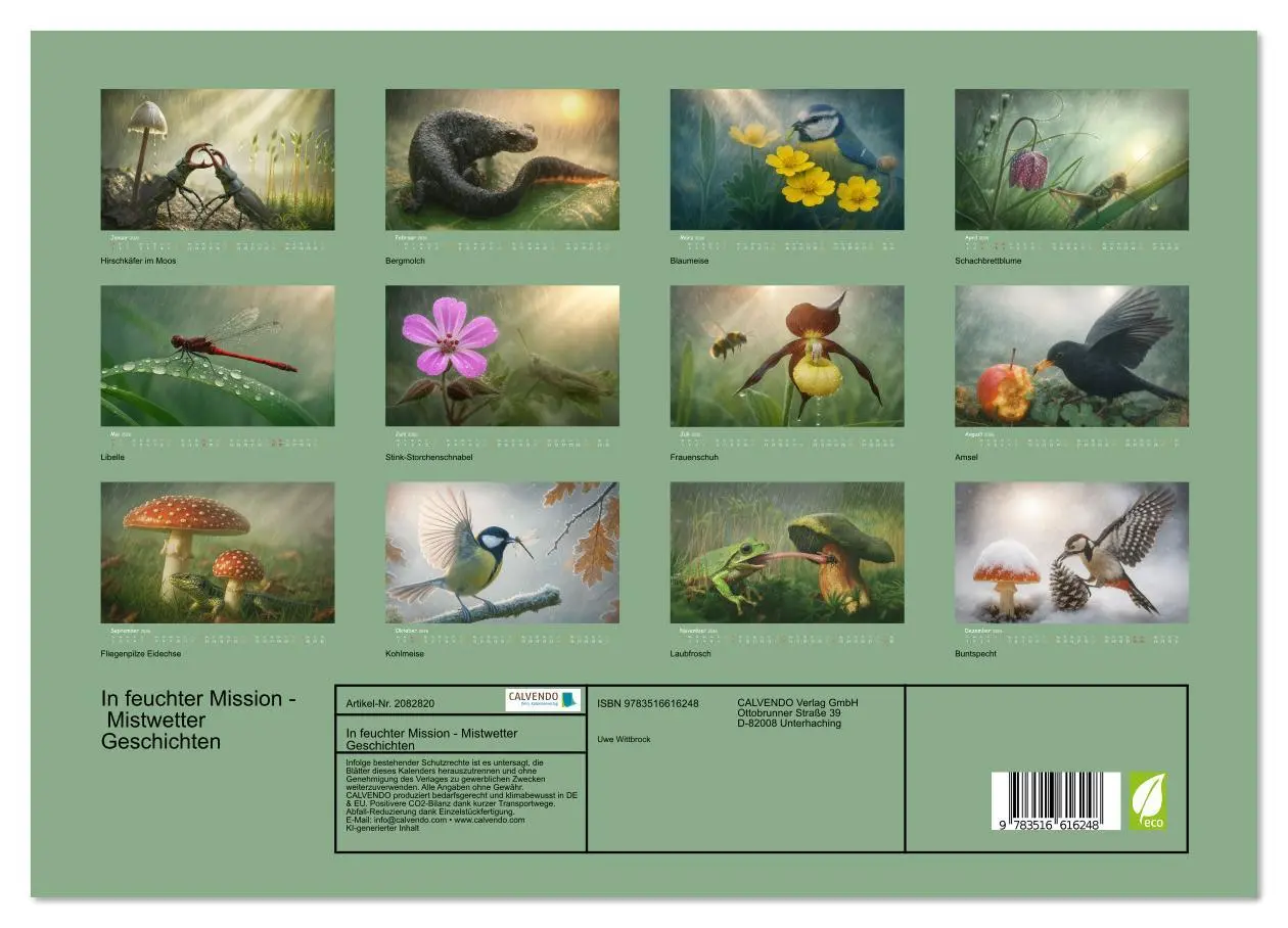 Bild: 9783516616248 | In feuchter Mission - Mistwetter Geschichten (Wandkalender 2026 DIN...
