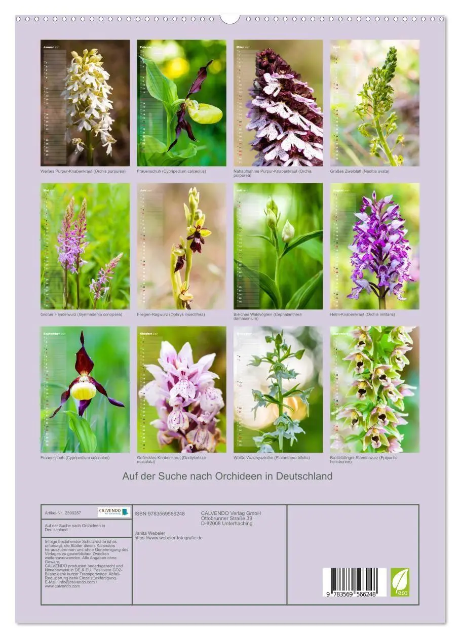 Bild: 9783569566248 | Auf der Suche nach Orchideen in Deutschland (hochwertiger Premium...