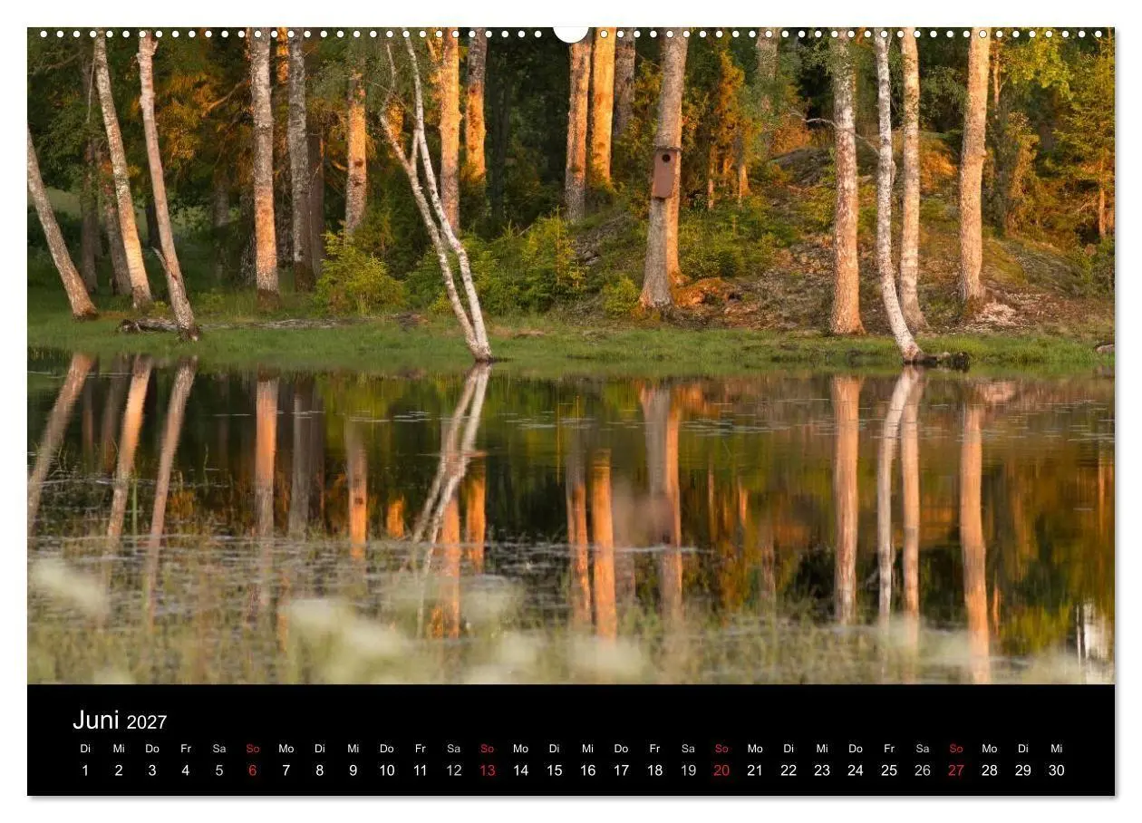 Bild: 9783569946248 | Schweden im Wechsel der Jahreszeiten (Wandkalender 2027 DIN A2...