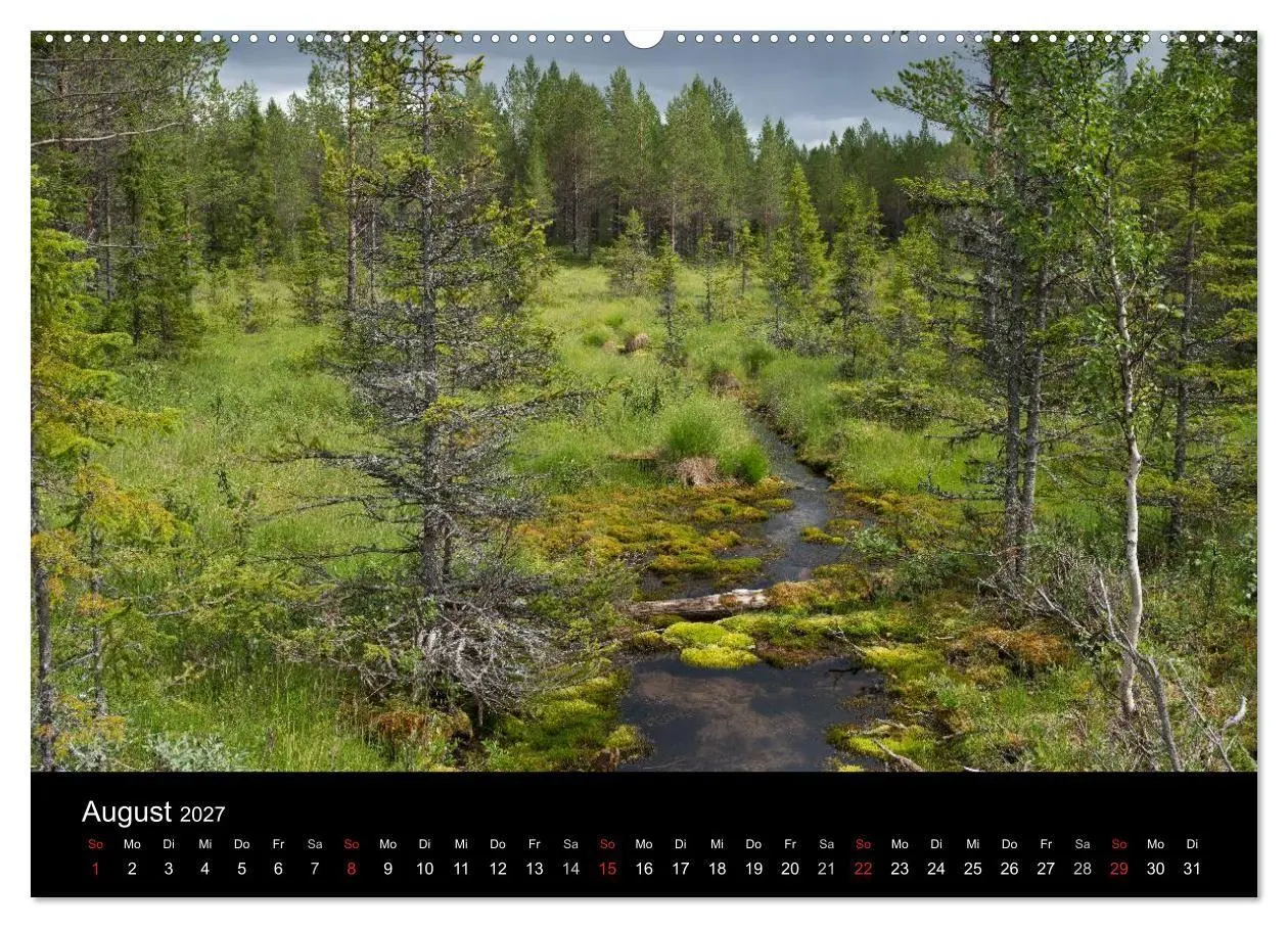 Bild: 9783569946248 | Schweden im Wechsel der Jahreszeiten (Wandkalender 2027 DIN A2...