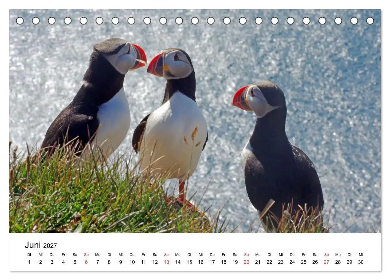 Bild: 9783594076248 | Norwegen 2027 - vom Fjord zum Fjell (Tischkalender 2027 DIN A5...