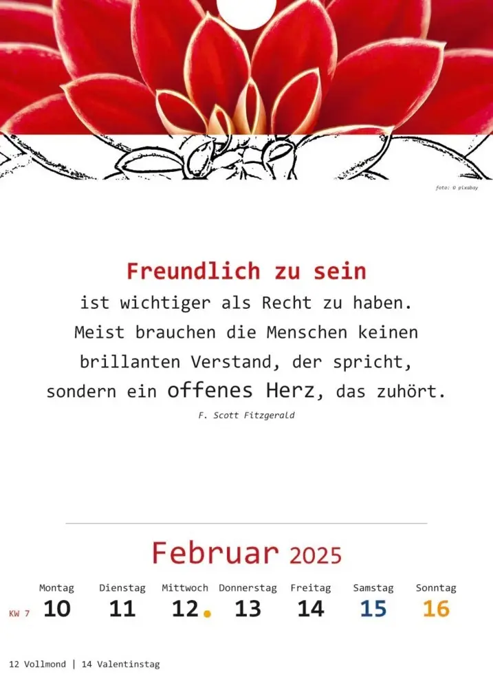 Bild: 9783948276348 | Ich-Kalender 2025 | Kalender | Deutsch | 2025 | Vision Creativ