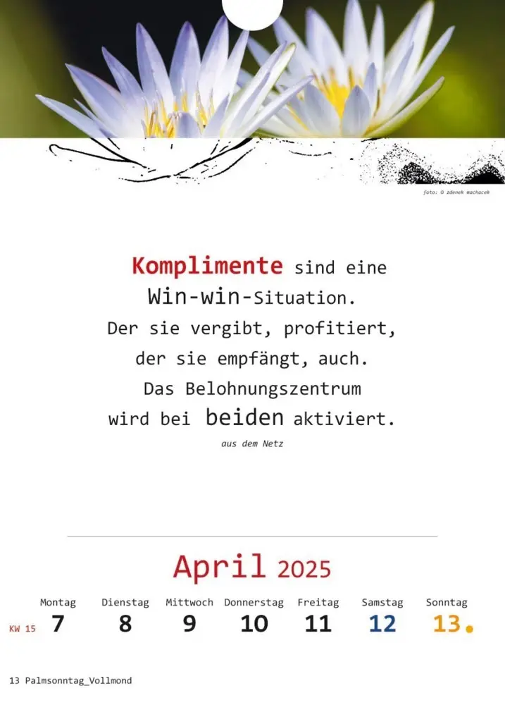 Bild: 9783948276348 | Ich-Kalender 2025 | Kalender | Deutsch | 2025 | Vision Creativ