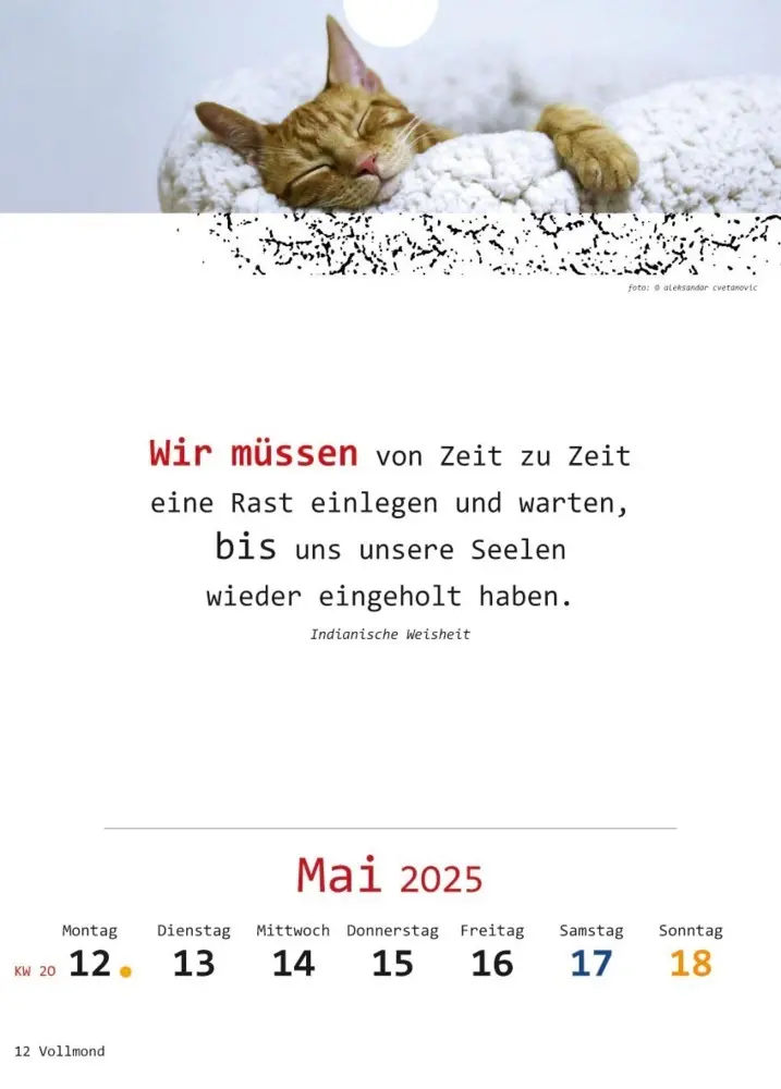 Bild: 9783948276348 | Ich-Kalender 2025 | Kalender | Deutsch | 2025 | Vision Creativ