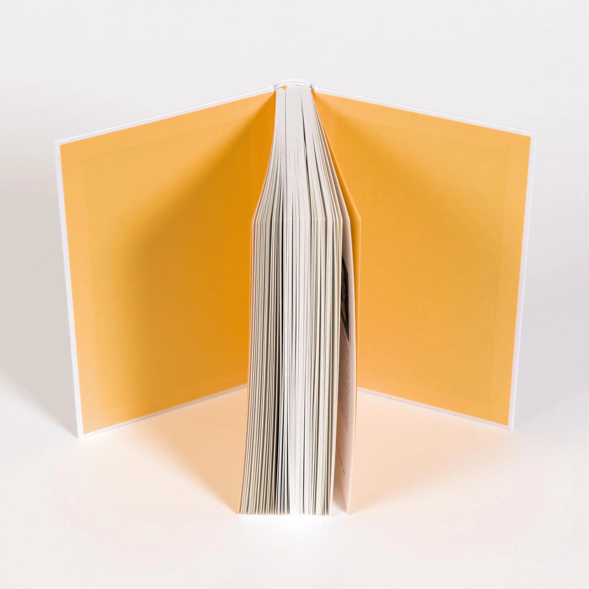Bild: 9783593516448 | Flow@Work | Friederike Fabritius | Buch | 295 S. | Deutsch | 2022