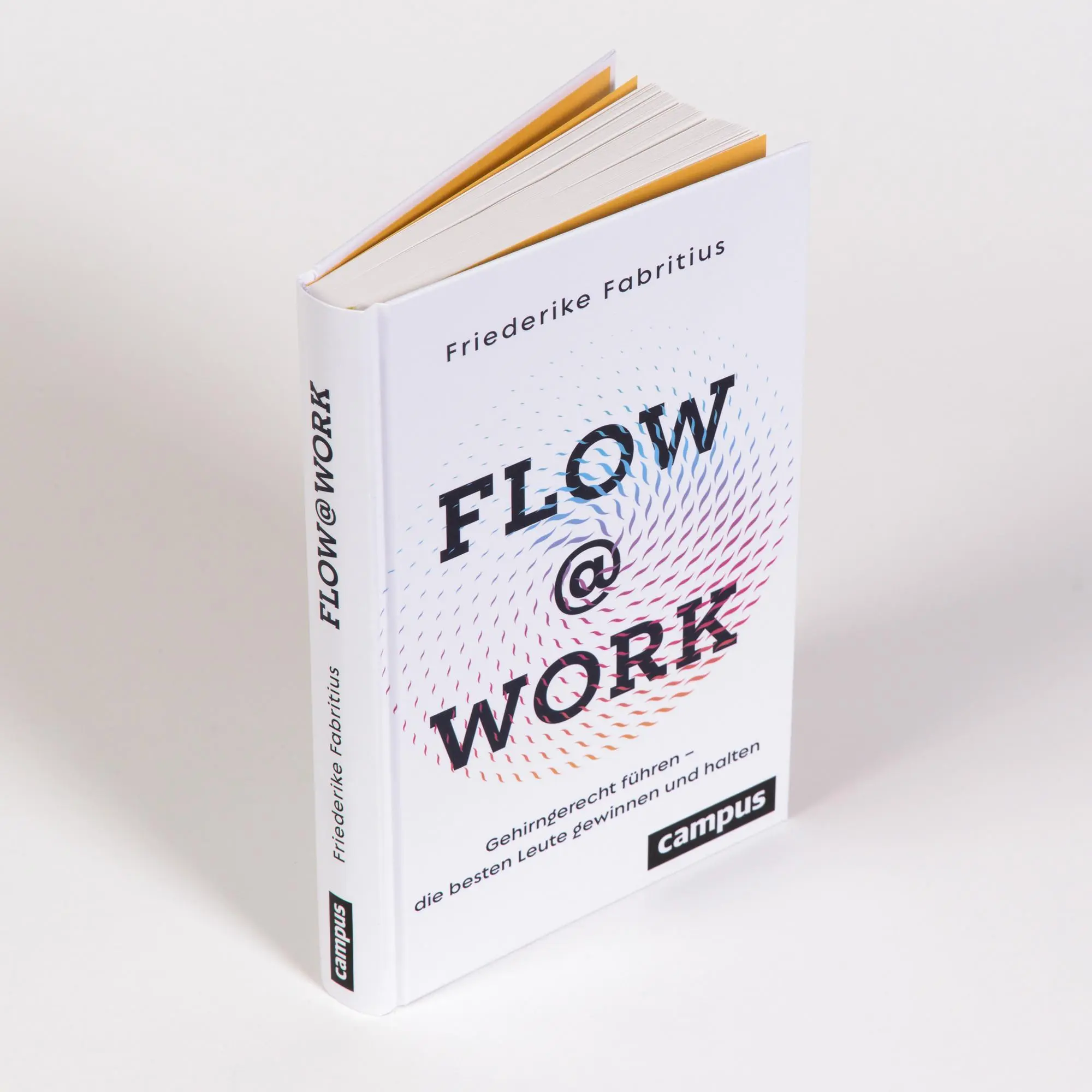 Bild: 9783593516448 | Flow@Work | Friederike Fabritius | Buch | 295 S. | Deutsch | 2022