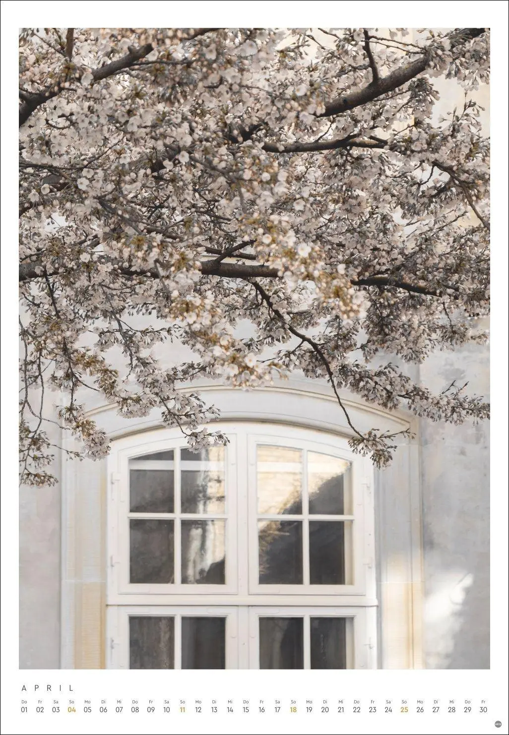 Bild: 9783756416448 | Mareike Böhmer: pure &amp; simple Kalender 2027 | Mareike Böhmer | 14 S.