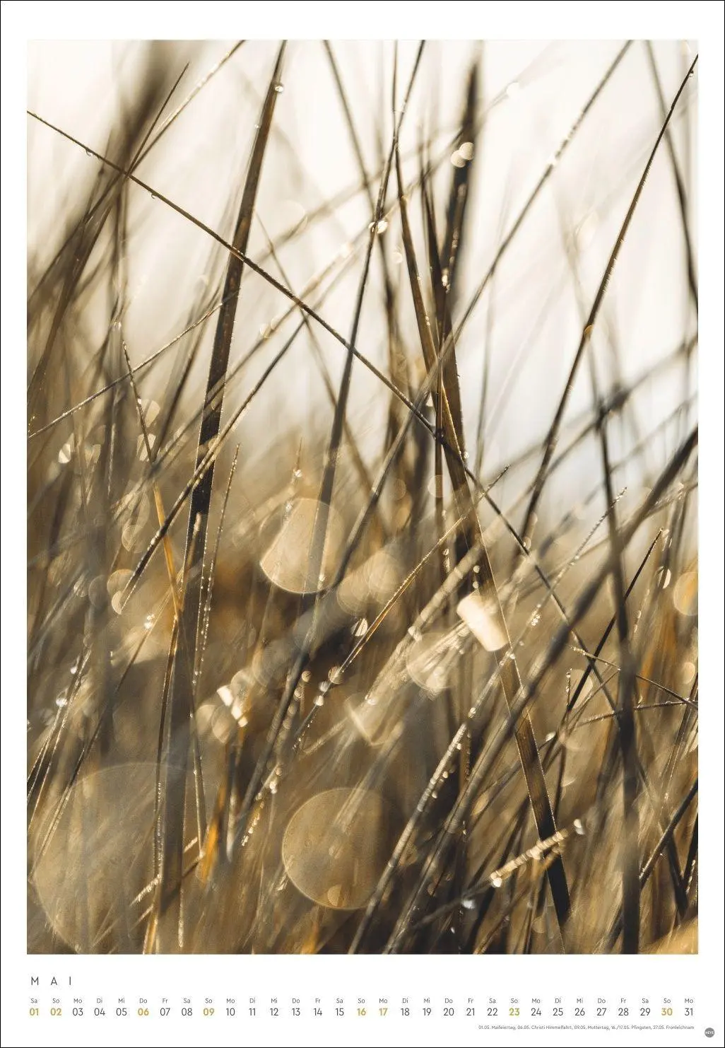 Bild: 9783756416448 | Mareike Böhmer: pure &amp; simple Kalender 2027 | Mareike Böhmer | 14 S.