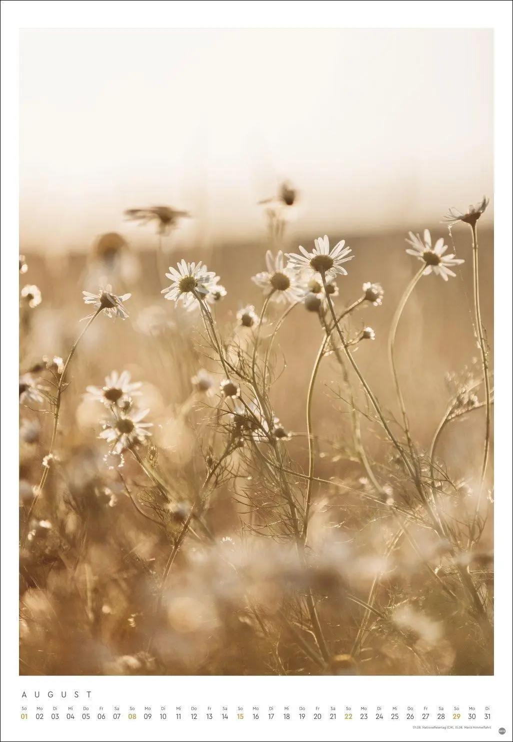 Bild: 9783756416448 | Mareike Böhmer: pure &amp; simple Kalender 2027 | Mareike Böhmer | 14 S.