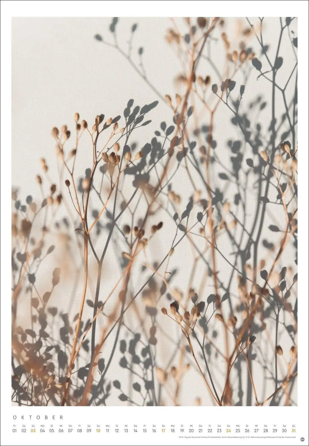 Bild: 9783756416448 | Mareike Böhmer: pure &amp; simple Kalender 2027 | Mareike Böhmer | 14 S.