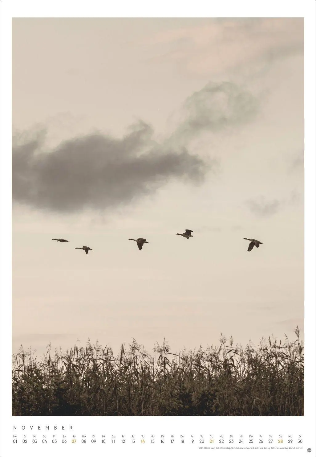 Bild: 9783756416448 | Mareike Böhmer: pure &amp; simple Kalender 2027 | Mareike Böhmer | 14 S.