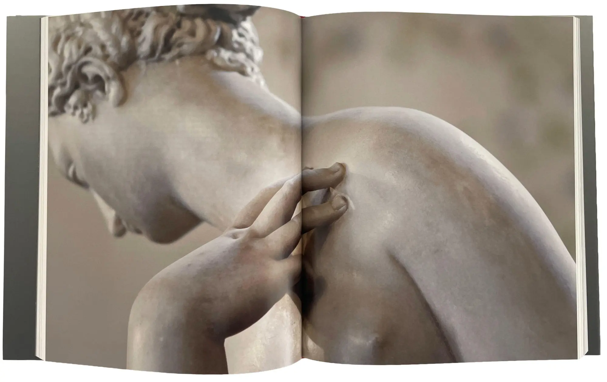 Bild: 9783777446448 | Körper der Macht - Der Mars von Giambologna | Stephan Koja | Buch