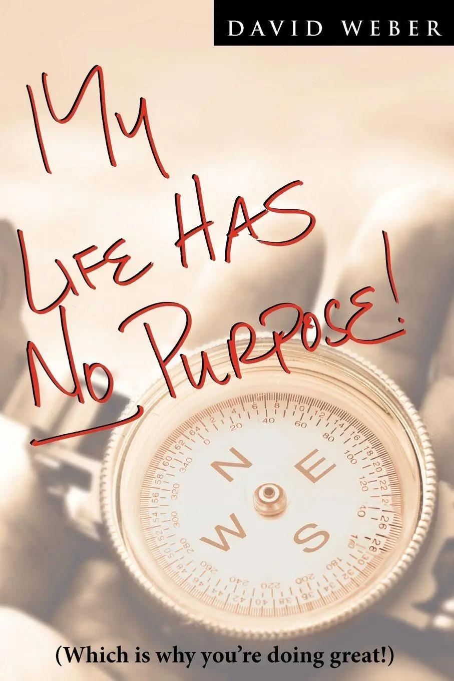 Cover: 9780557196548 | My Life Has No Purpose | David Weber | Taschenbuch | Englisch | 2010