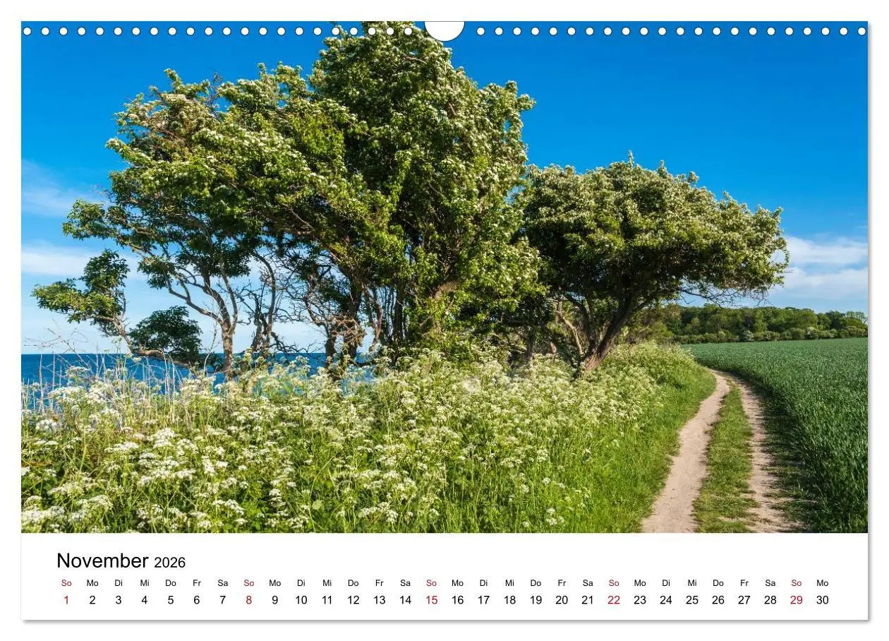 Bild: 9783516136548 | Fehmarn - "fe mer" natürlich "am Meer gelegen" (Wandkalender 2026...