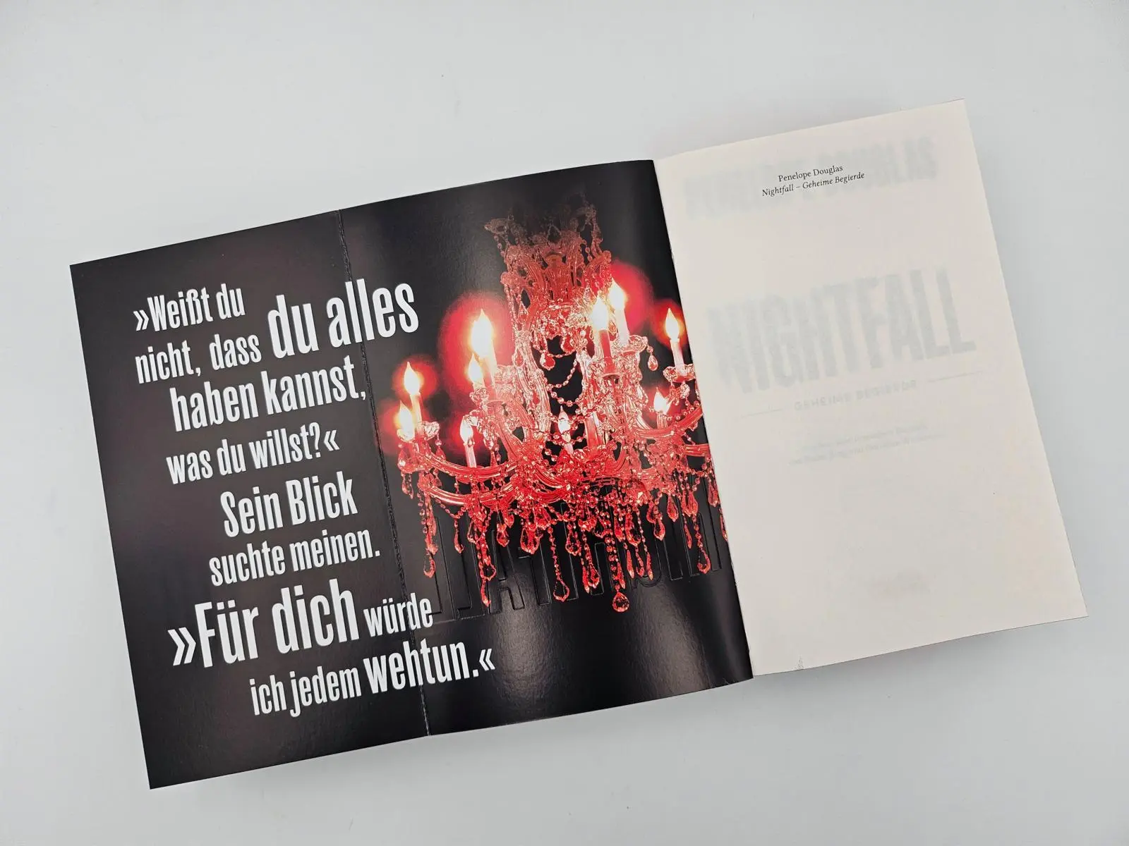 Bild: 9783492066648 | Nightfall - Geheime Begierde | Penelope Douglas | Taschenbuch | 784 S.